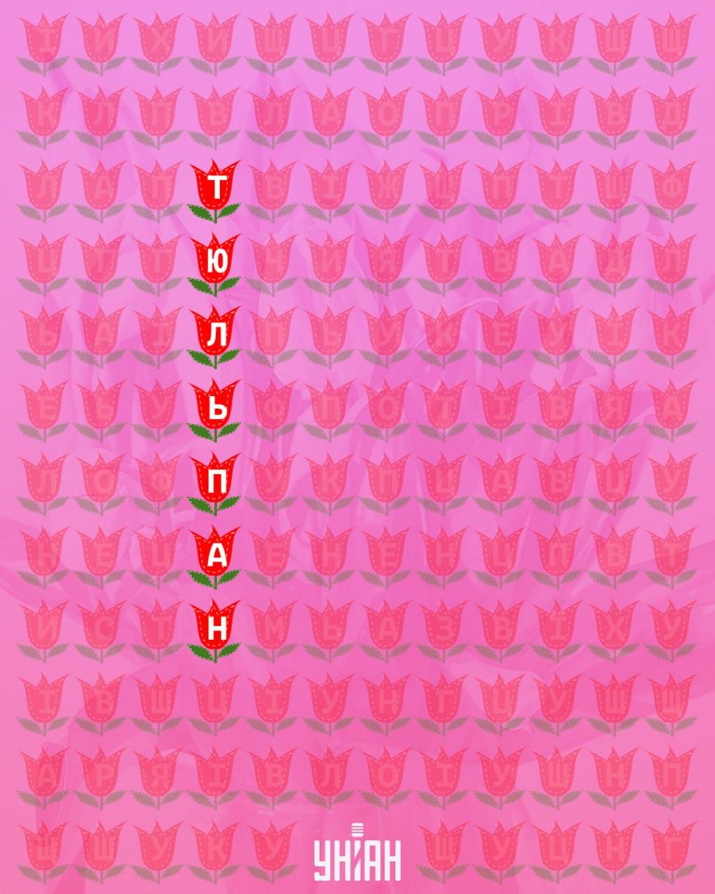 Ali lahko v 11 sekundah najdete besedo 