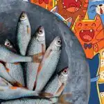 Morate najti ribe med mačkami: zabavna uganka za ljudi z