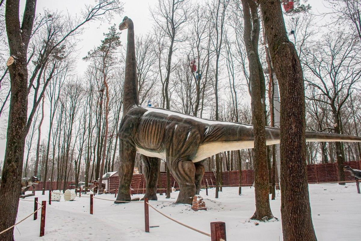 Poiščite psa v snegu v 10 sekundah / kolaž Moje