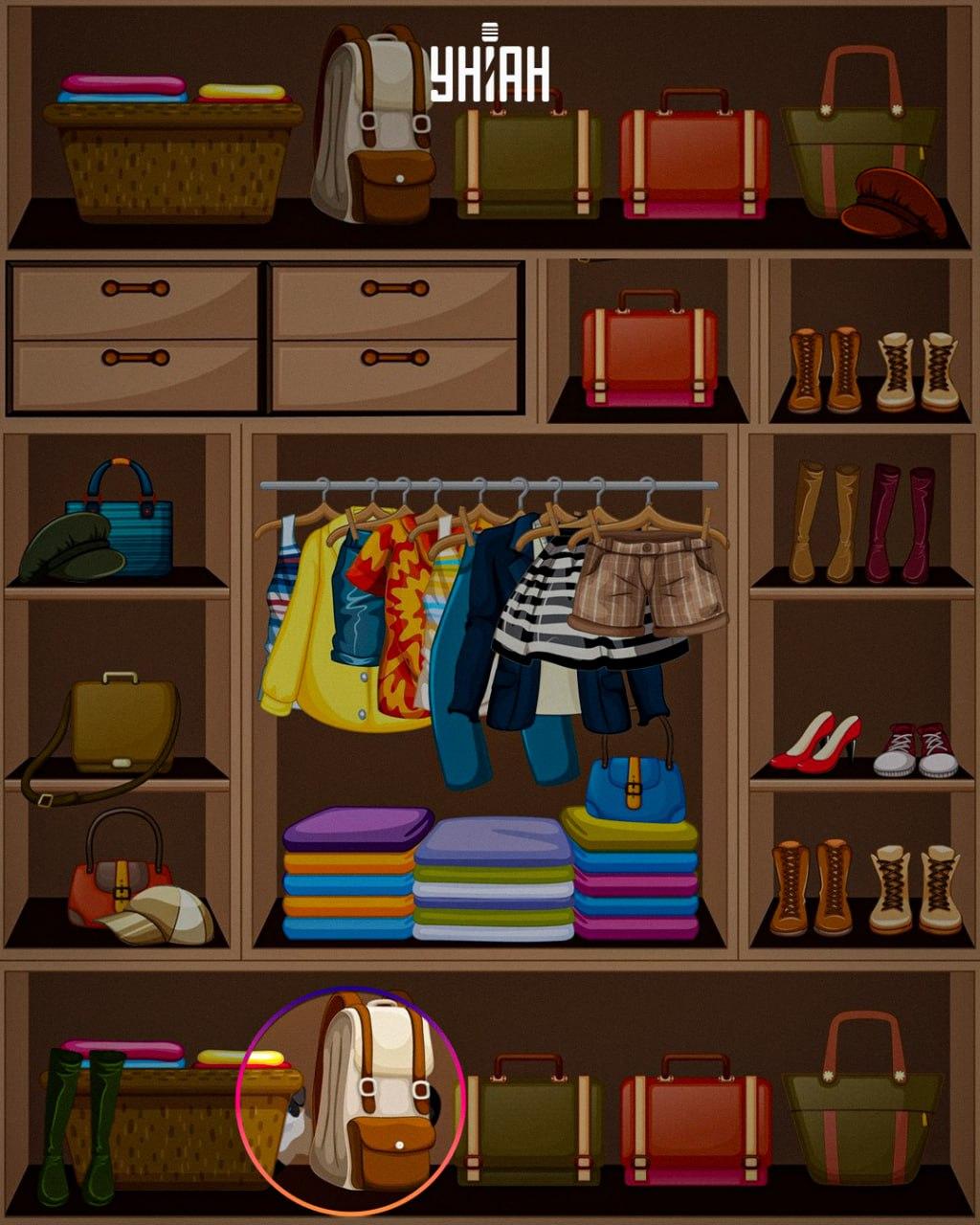 Premetena žival je bila postavljena na dno slike / kolaž Moje