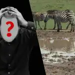 Hitri IQ test: poiščite psa na polju v 6 sekundah