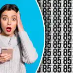 Kje se skrivata številki 86 in 35: le najbolj pozorni