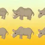 Koliko nosorogov je na sliki: le genij bi lahko pravilno