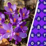 Le 1 % ljudi lahko v 11 sekundah najde besedo