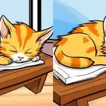 Le najbolj pozorni bodo v 12 sekundah našli 3 razlike na sliki mačke: zahtevna uganka. Le najbolj pozorni bodo v 12 sekundah našli 3 razlike