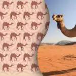 Le sodobni Sherlock Holmes bo našel nenavadno kamelo: skrivnost za