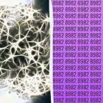 Preprost IQ test: poiščite dodatno številko v 9 sekundah