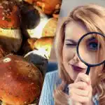 Samo ljudje z izjemnim IQ bodo v 15 sekundah videli