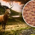 Samo ljudje z visokim inteligenčnim kvocientom se lahko spopadejo z