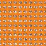 Težaven IQ test: le genialci bodo v 13 sekundah našli