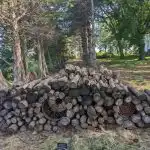 Uganka za najbolj vedre in iznajdljive: v 7 sekundah morate