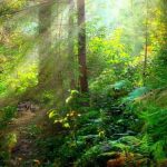 Uganka za tiste z odličnim vidom: v 6 sekundah morate