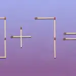 Za pravilno enakost morate premakniti eno tekmo: hiter IQ test